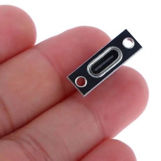 2 Pin CC Type C Usb Soket Panel Montaj