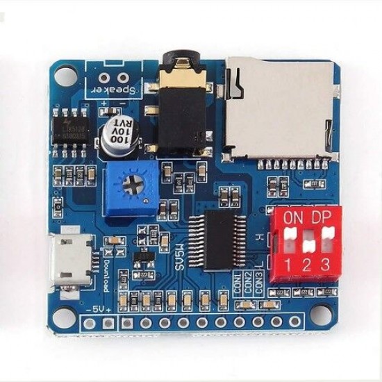 DY-SV5W MP3 Modül