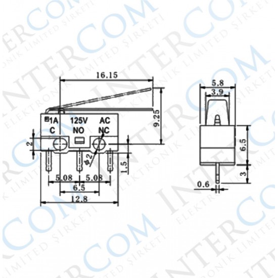 IC-162A Micro Switch Mini Uzun Paletli KW10-Z2P